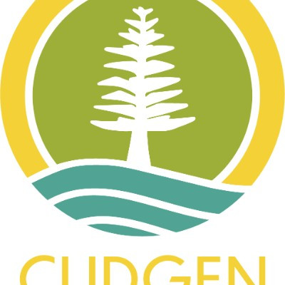 Cudgen Public School